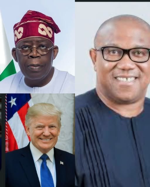 The certificate controversy surrounding President Bola Tinubu